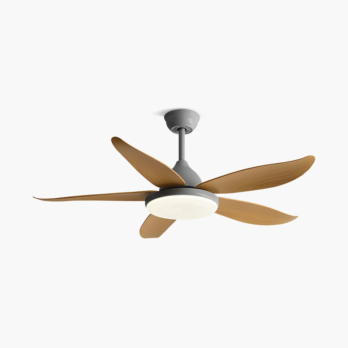 5 Blade Contemporary Ceiling Fan Lamp