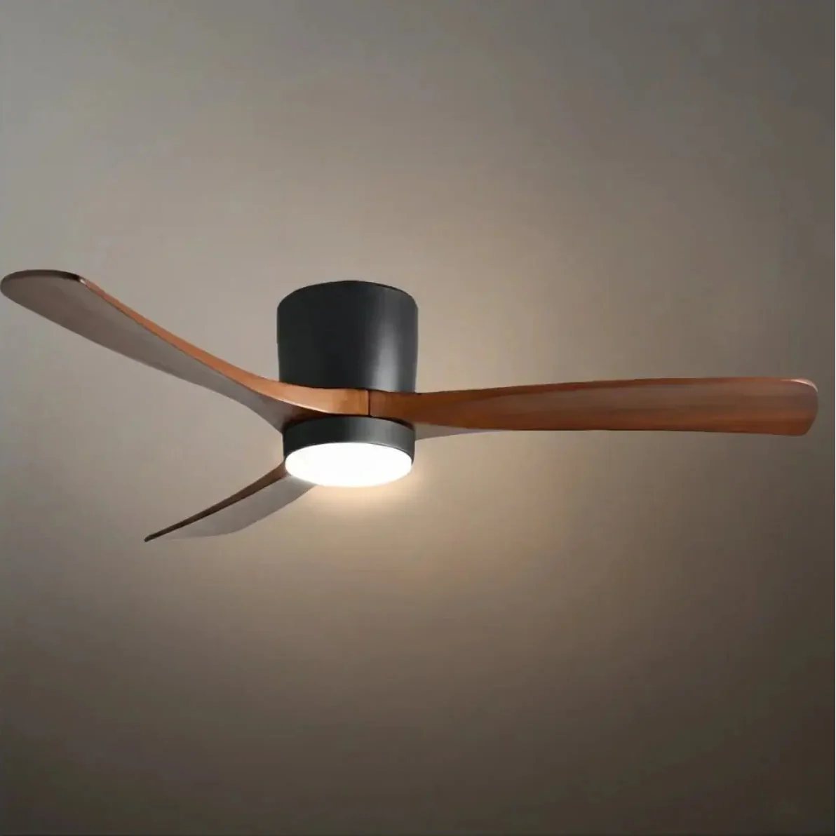 Lunara Nordic Ceiling Fan Light