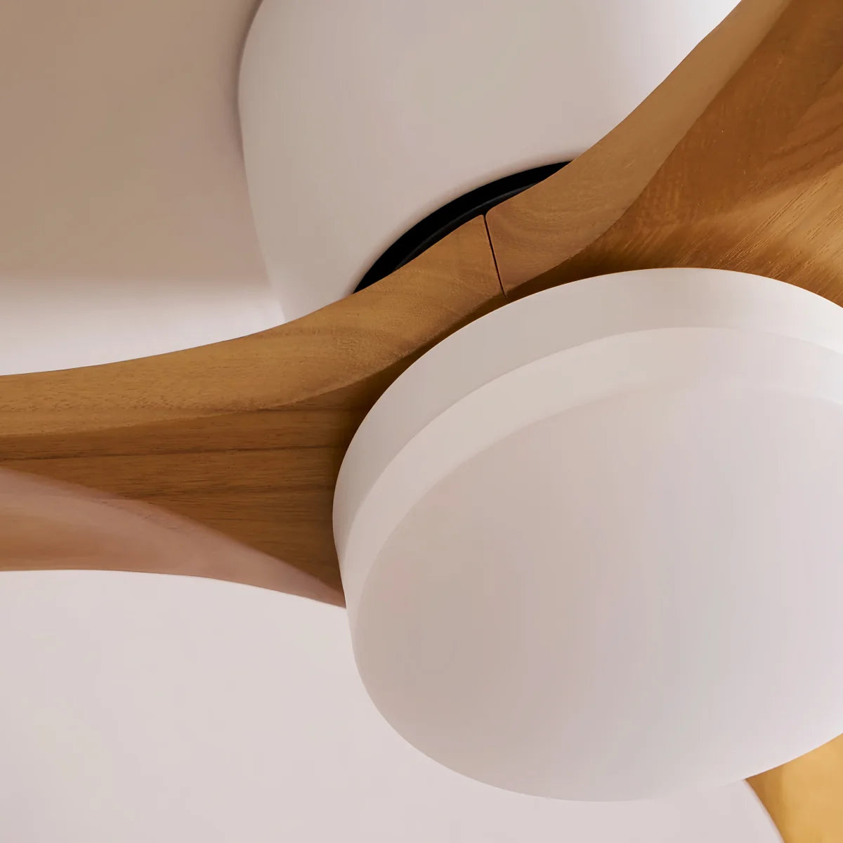 Lunara Nordic Ceiling Fan Light