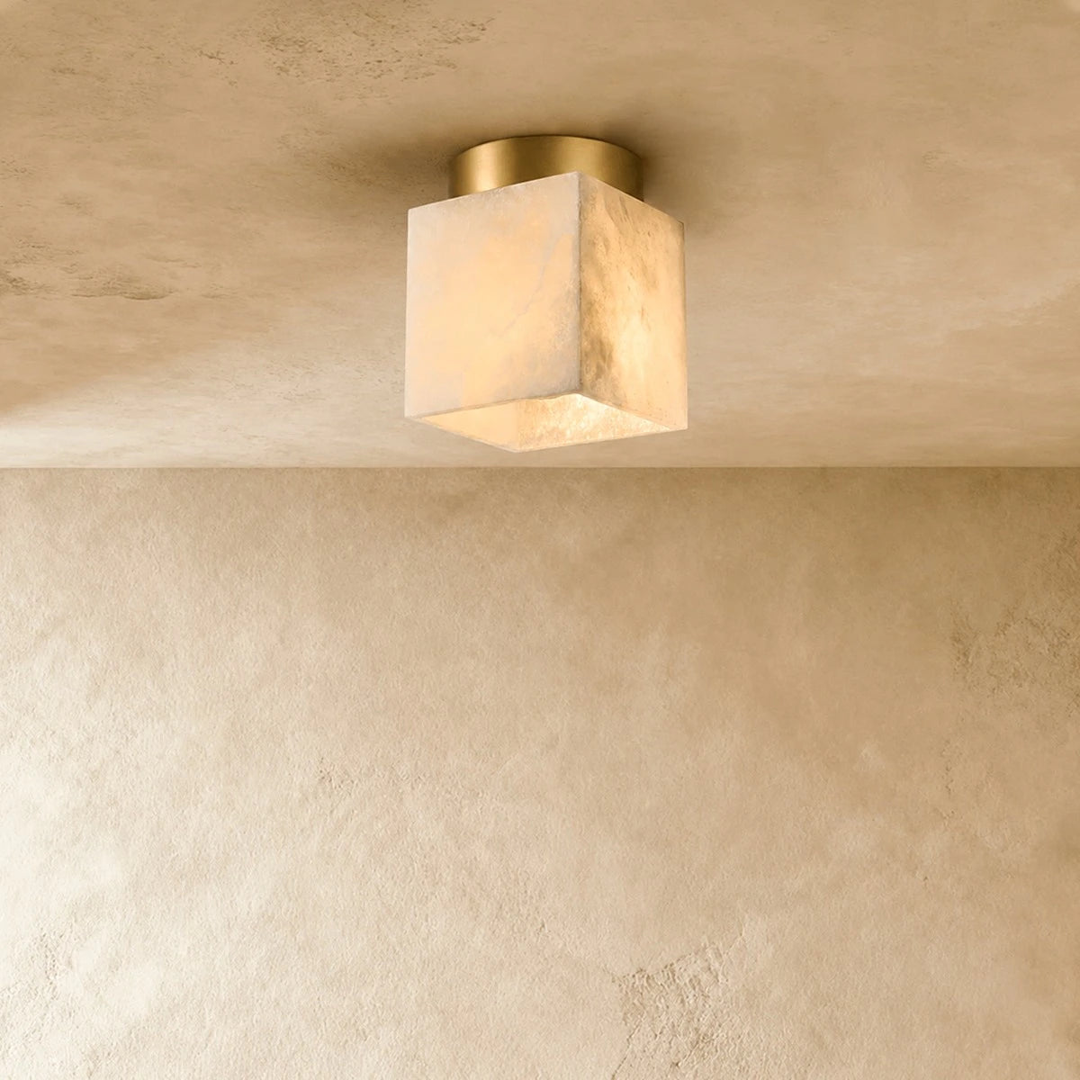 Vylora Ceiling Light