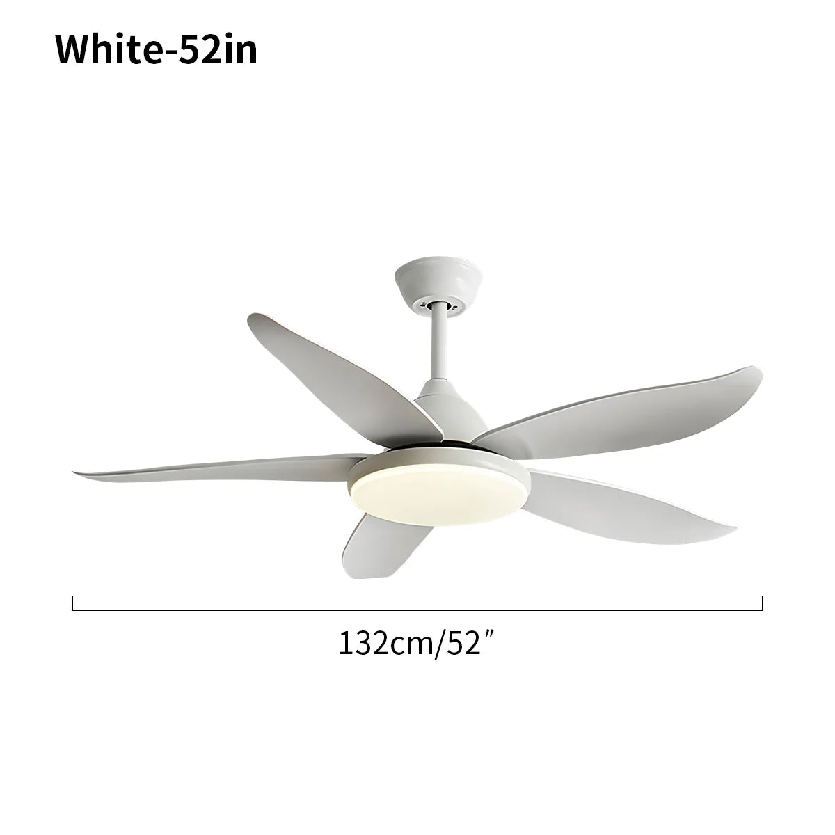 5 Blade Contemporary Ceiling Fan Lamp