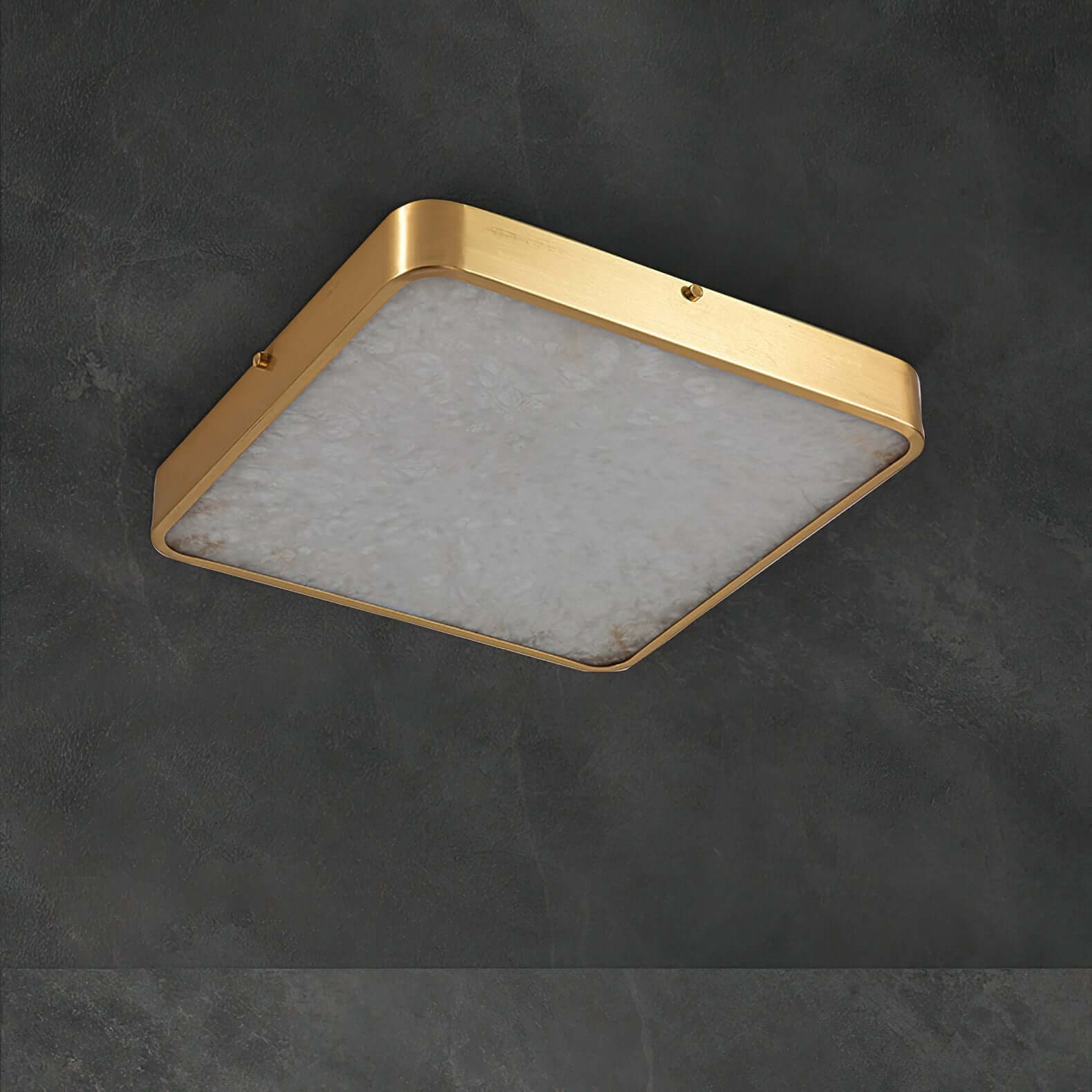Camiro Ceiling Light