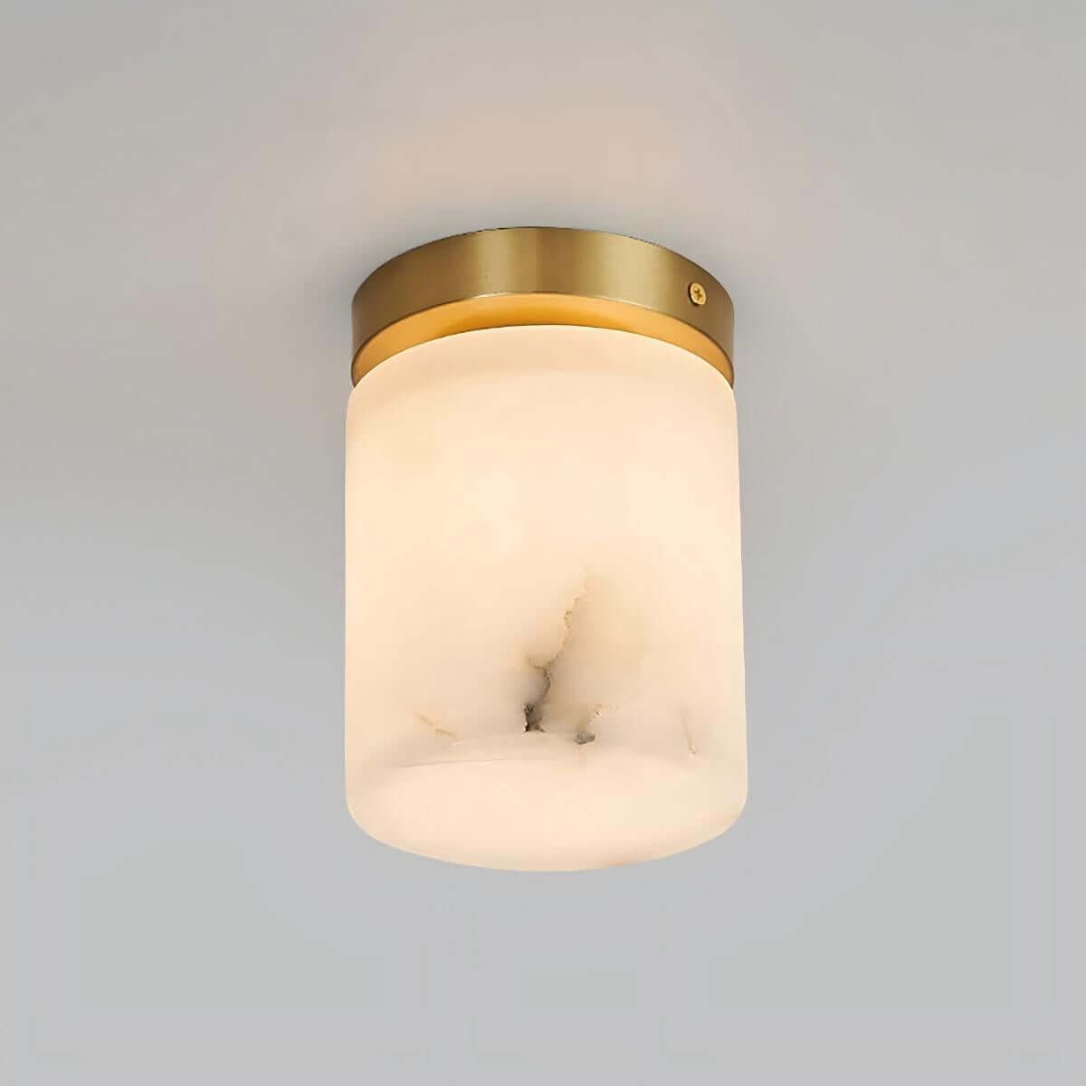 Virex Ceiling Light