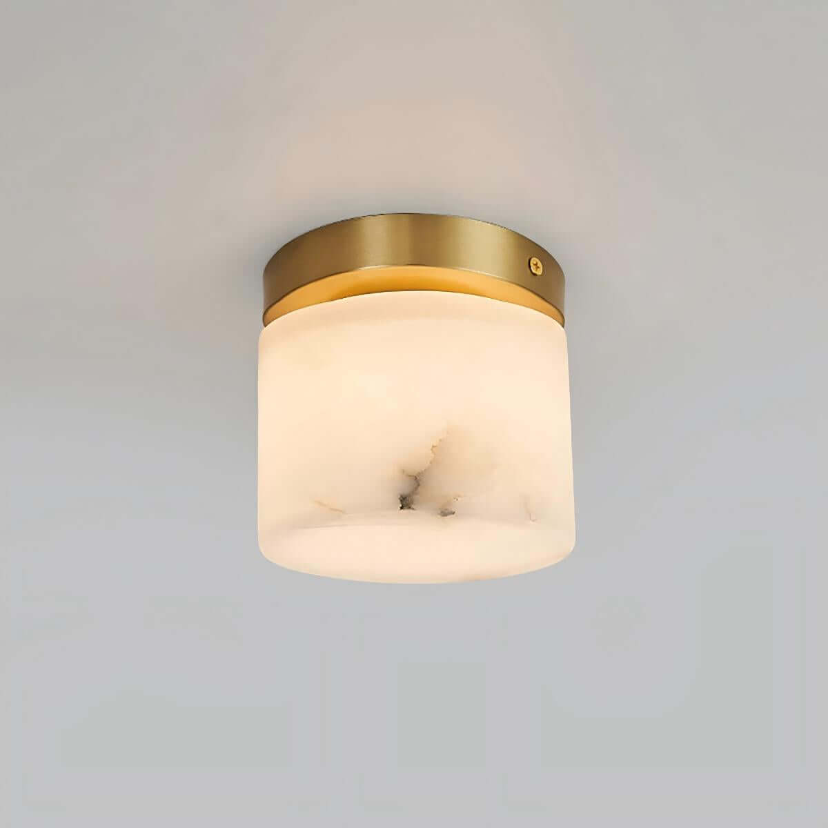 Virex Ceiling Light