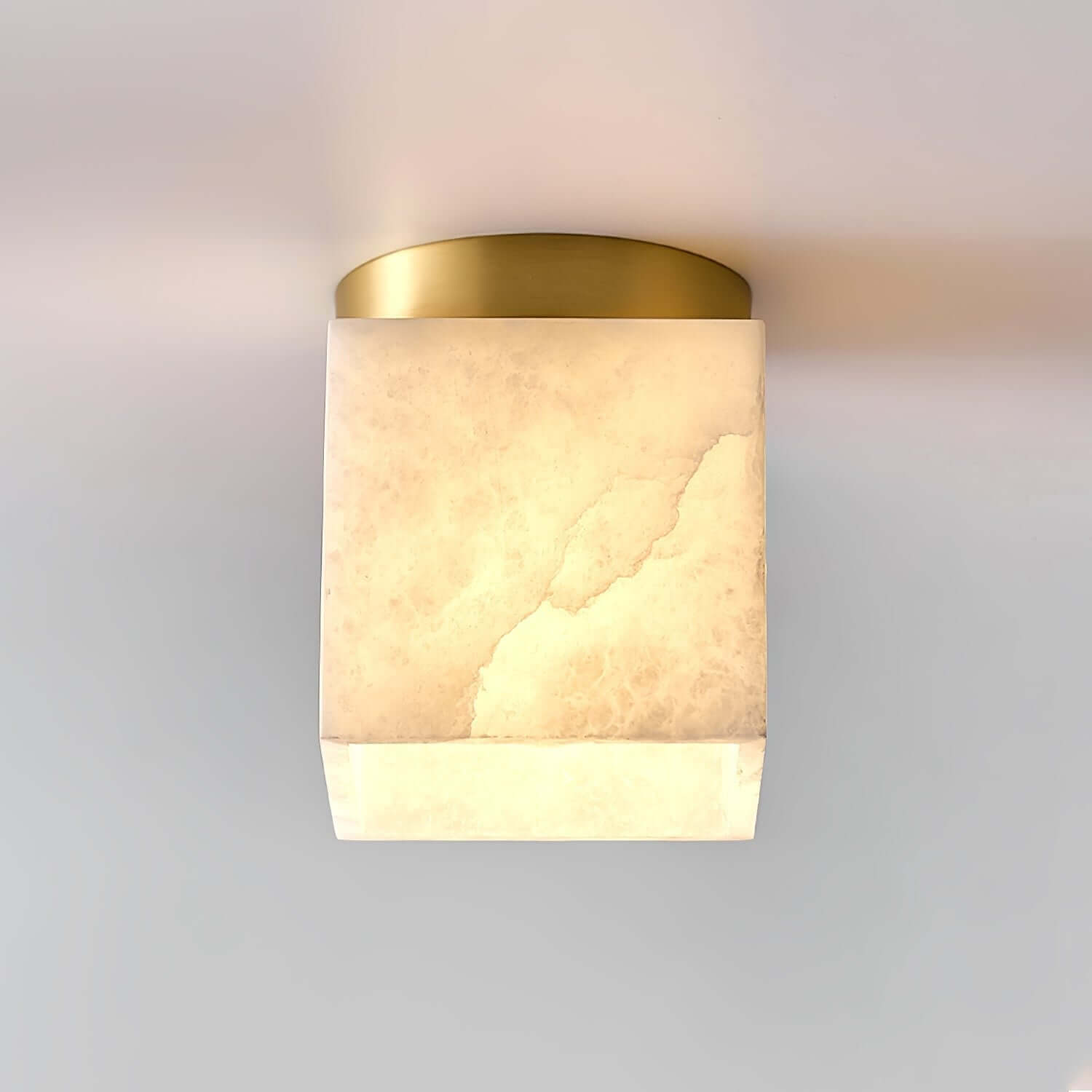 Vylora Ceiling Light