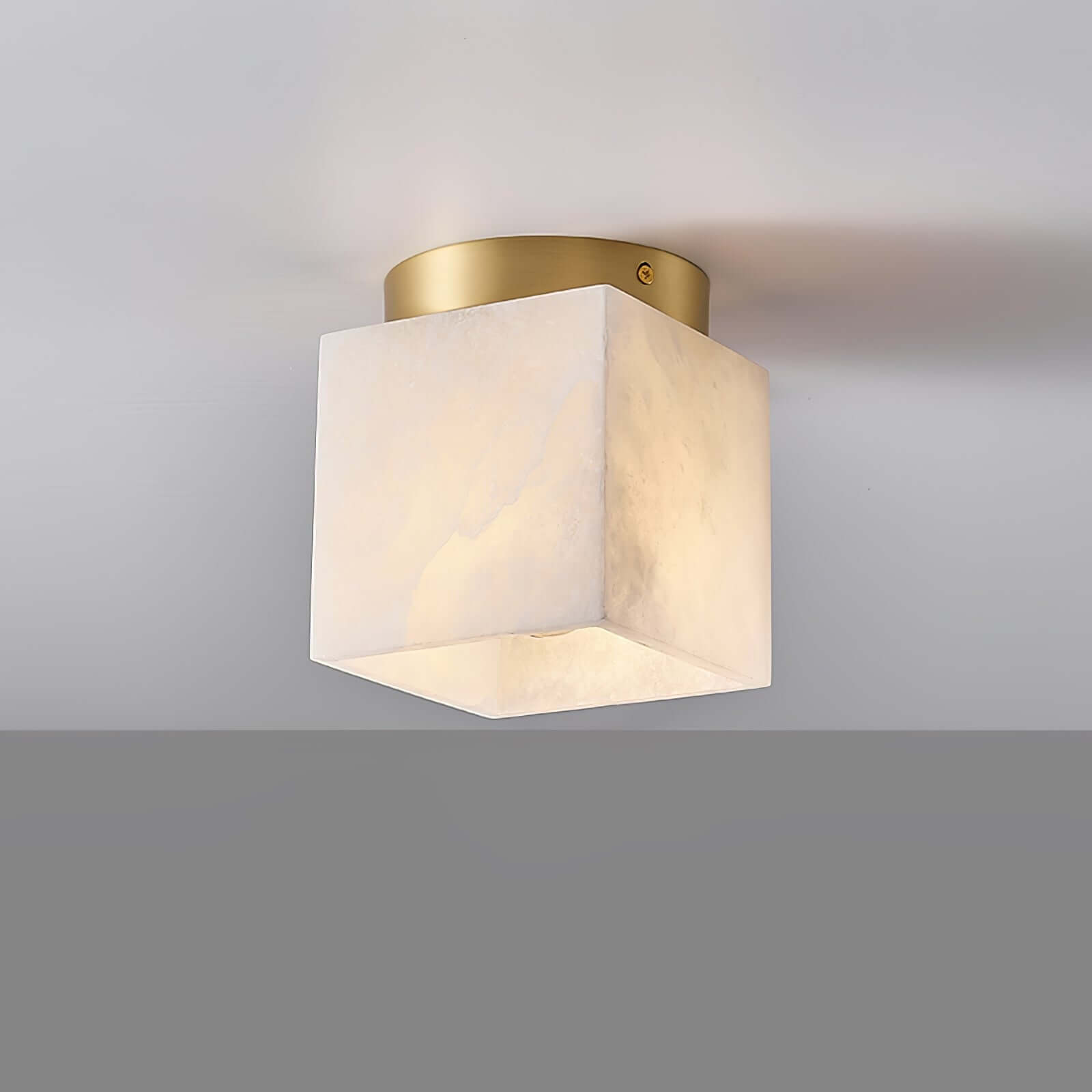 Vylora Ceiling Light