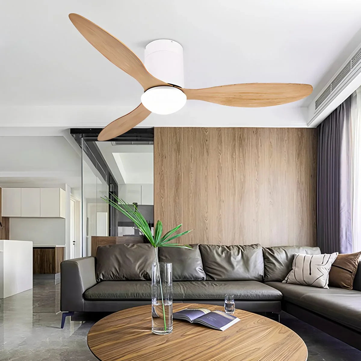 3 Blade Modern Ceiling Fan with Light