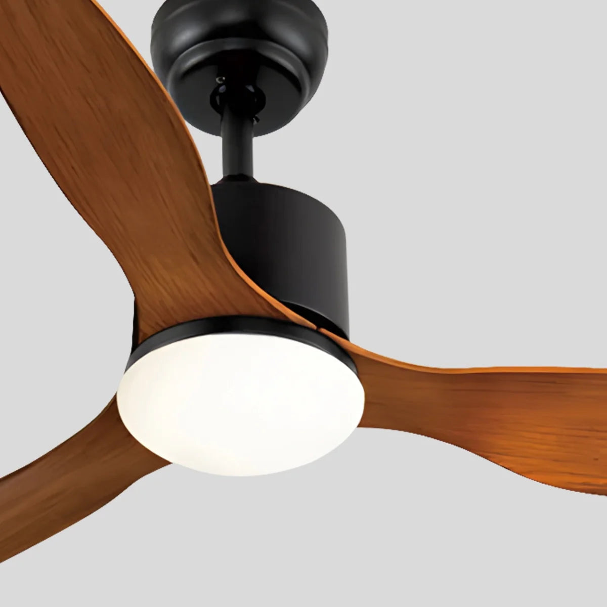 3 Blade Modern Ceiling Fan with Light