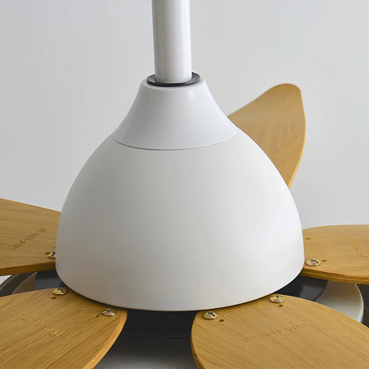 5 Blade Contemporary Ceiling Fan Lamp