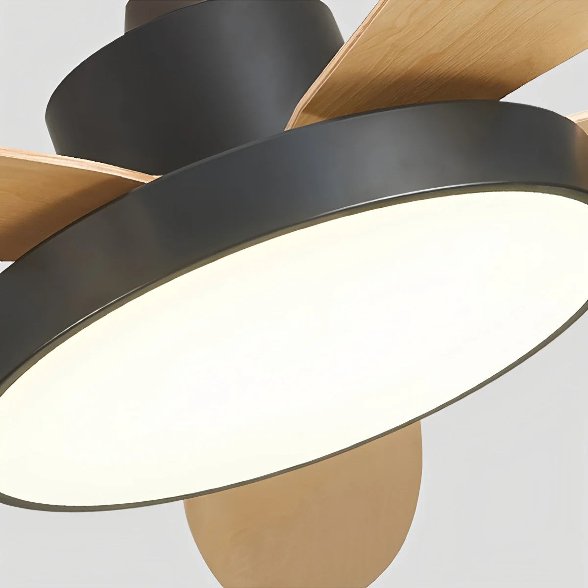 5 Blade Modern Ceiling Fan Lamp for Living Room