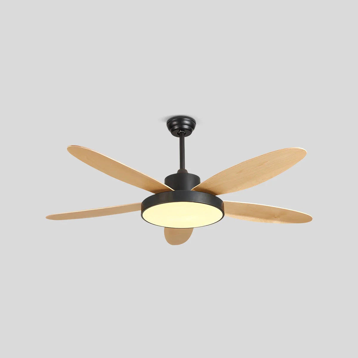 Antizer 5 Blade Modern Ceiling Fan Lamp for Living Room Black