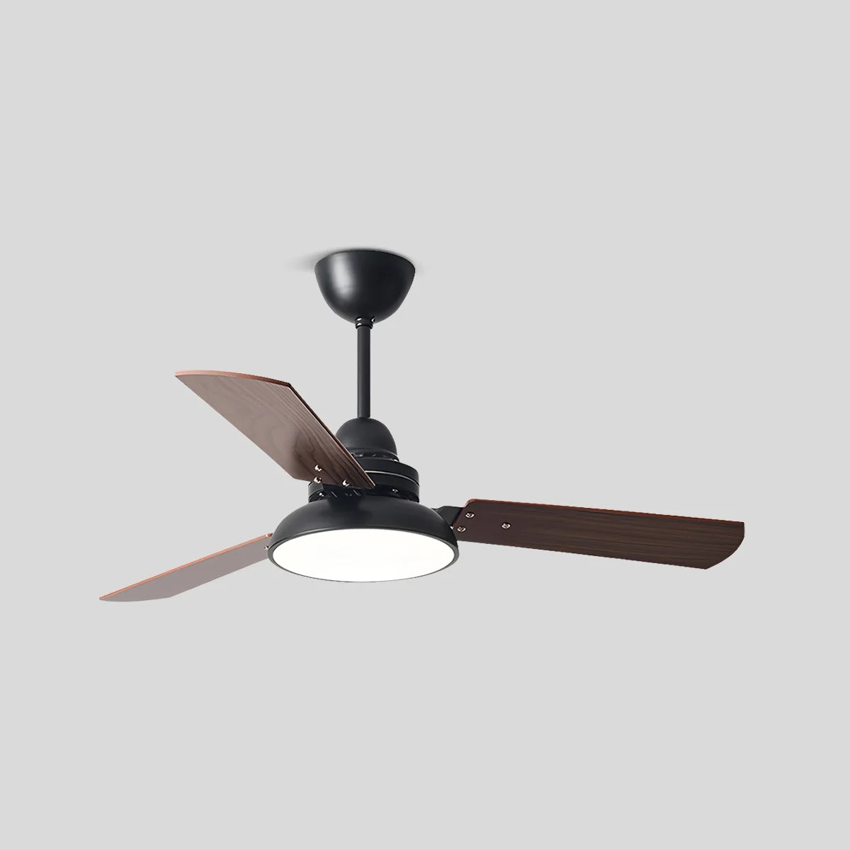 Antizer Modern Minimalist Three Leaf Ceiling Fan Light Black