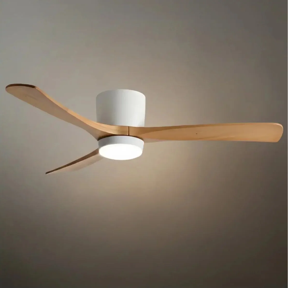 Lunara Nordic Ceiling Fan Light