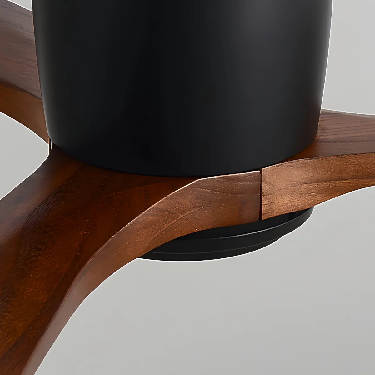 Lunara Nordic Ceiling Fan Light