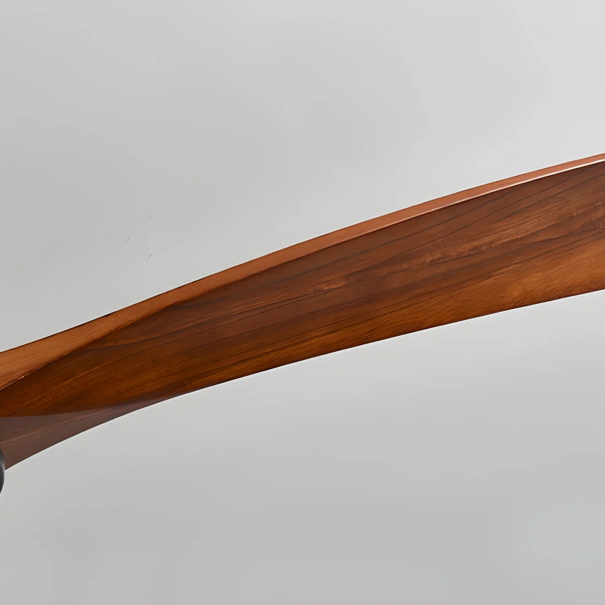 Lunara Nordic Ceiling Fan Light