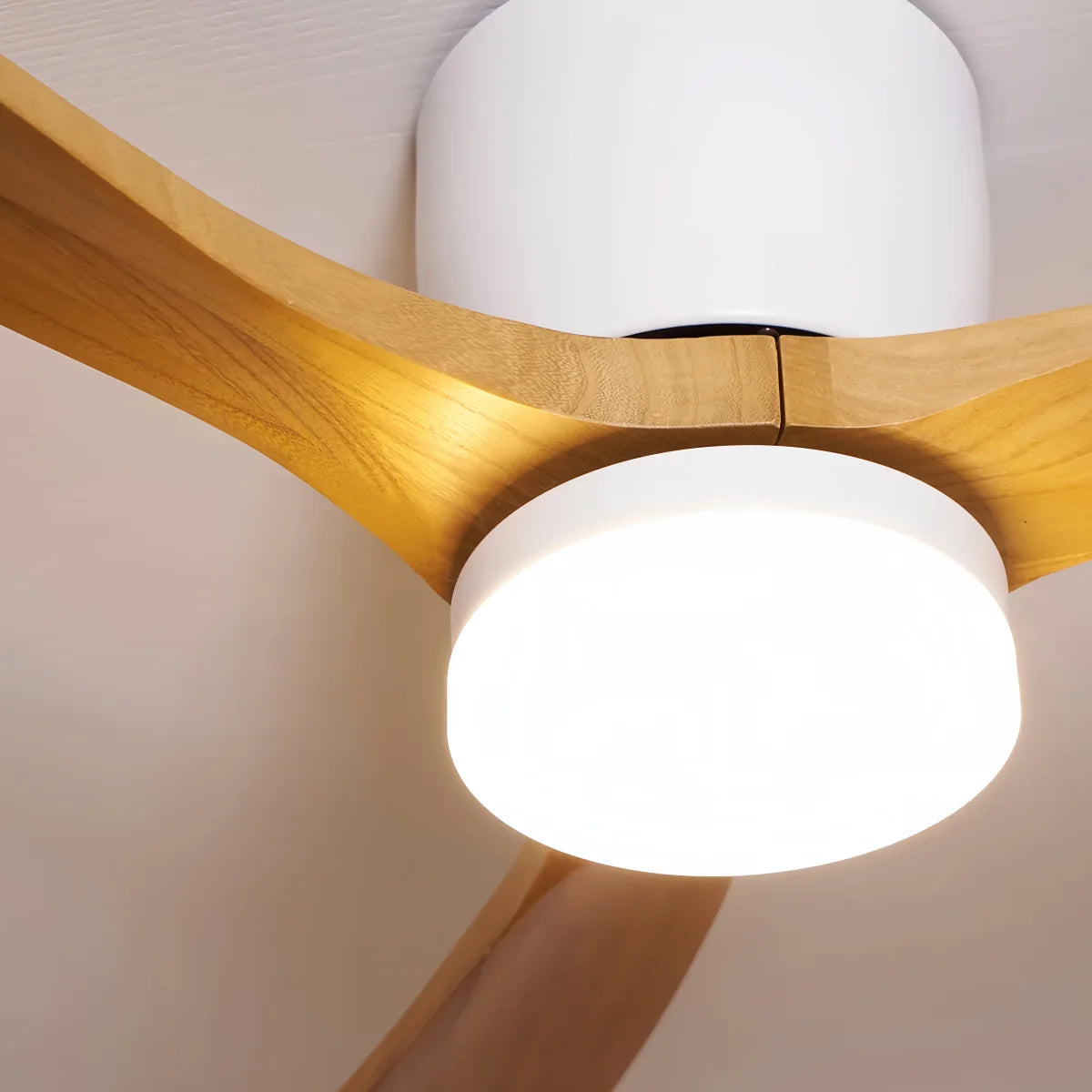 Lunara Nordic Ceiling Fan Light