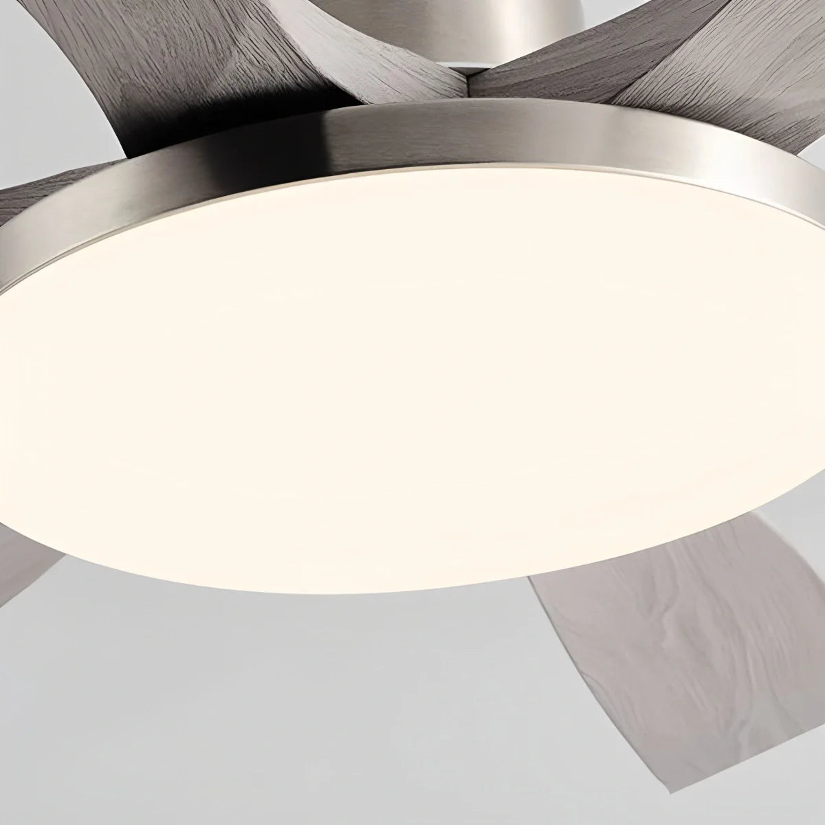 Living Room 6-Leaf Ceiling Fan Light