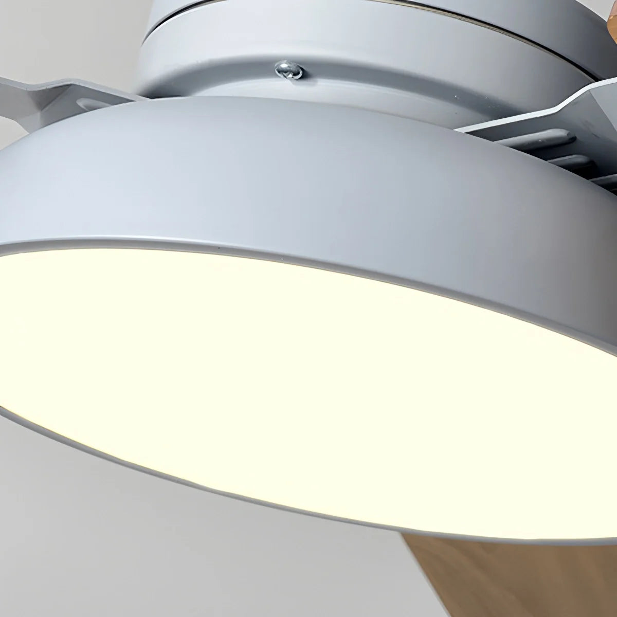 Modern Minimalist Three Leaf Ceiling Fan Light