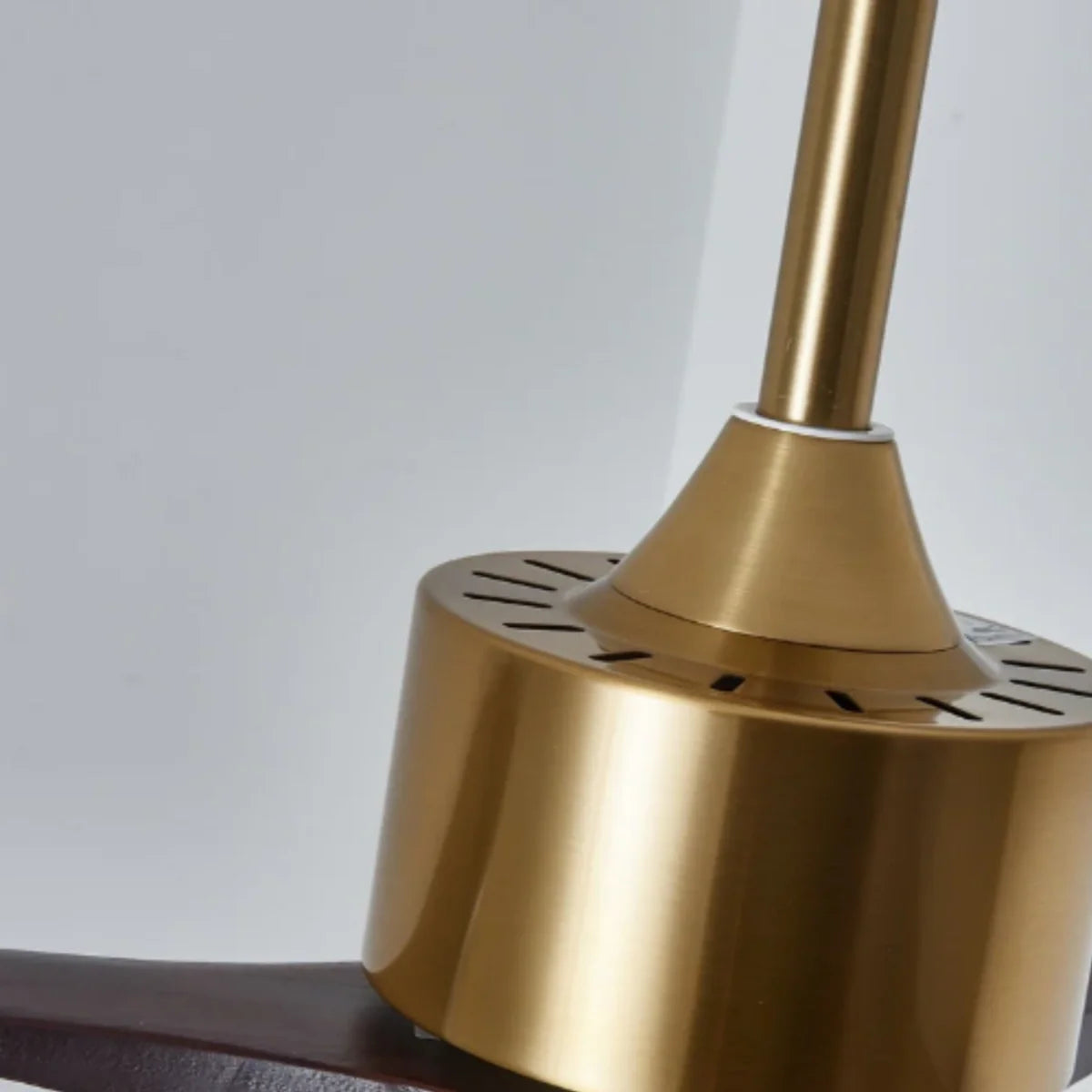 Zenno Modern Ceiling Fan Light with LED