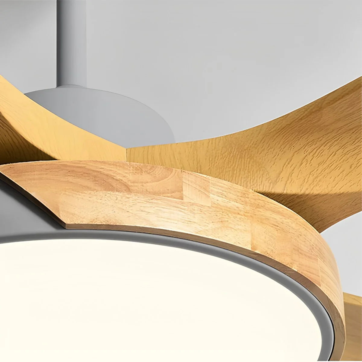 Nordic Living Room Ceiling Fan with Light