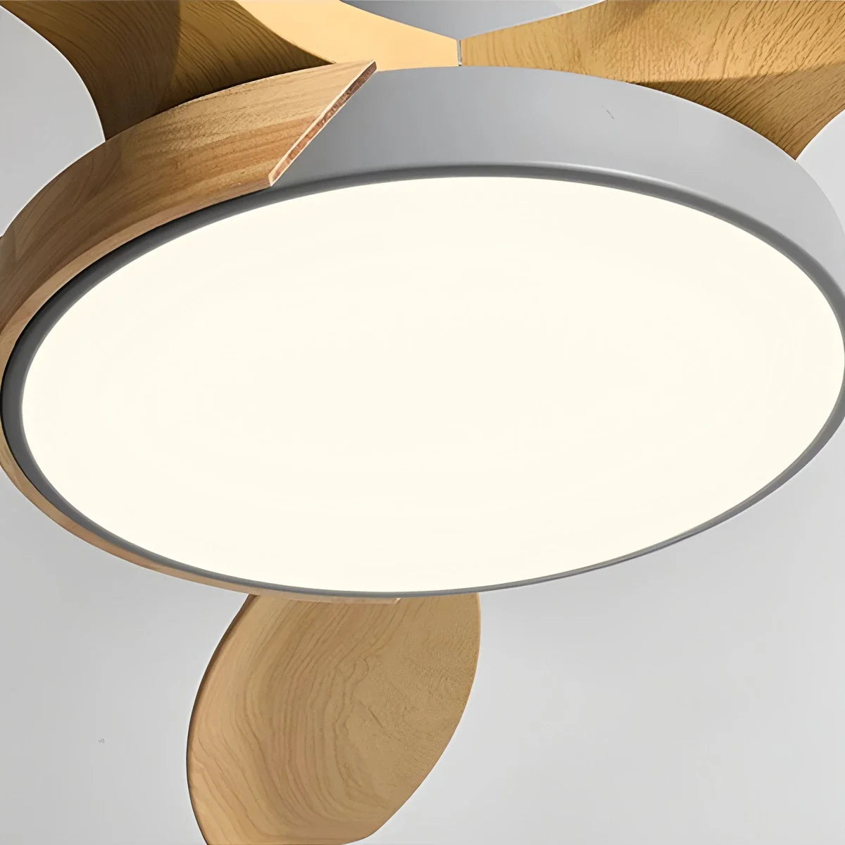 Nordic Living Room Ceiling Fan with Light
