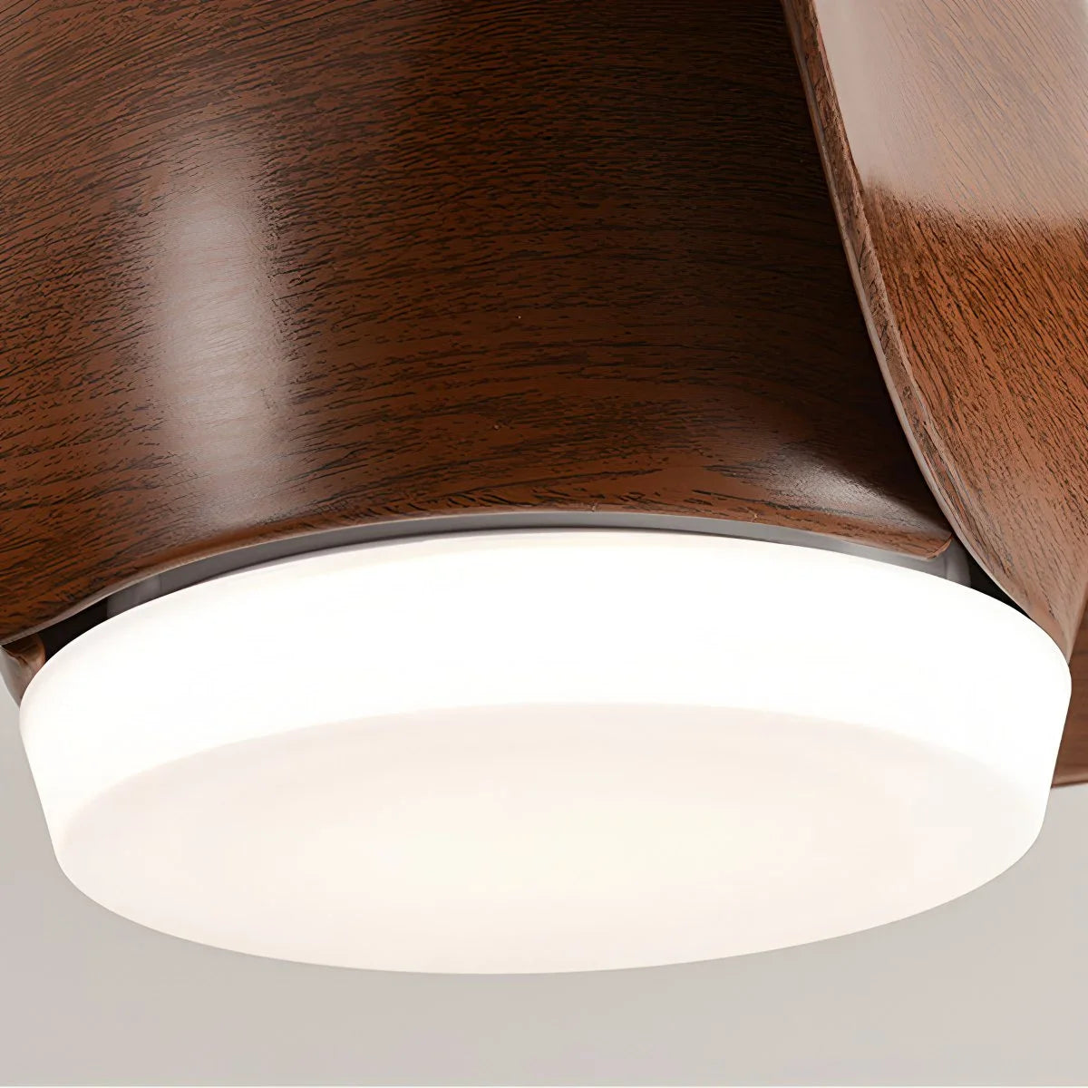 Propeller Ceiling Fan Lamp for Dining Room
