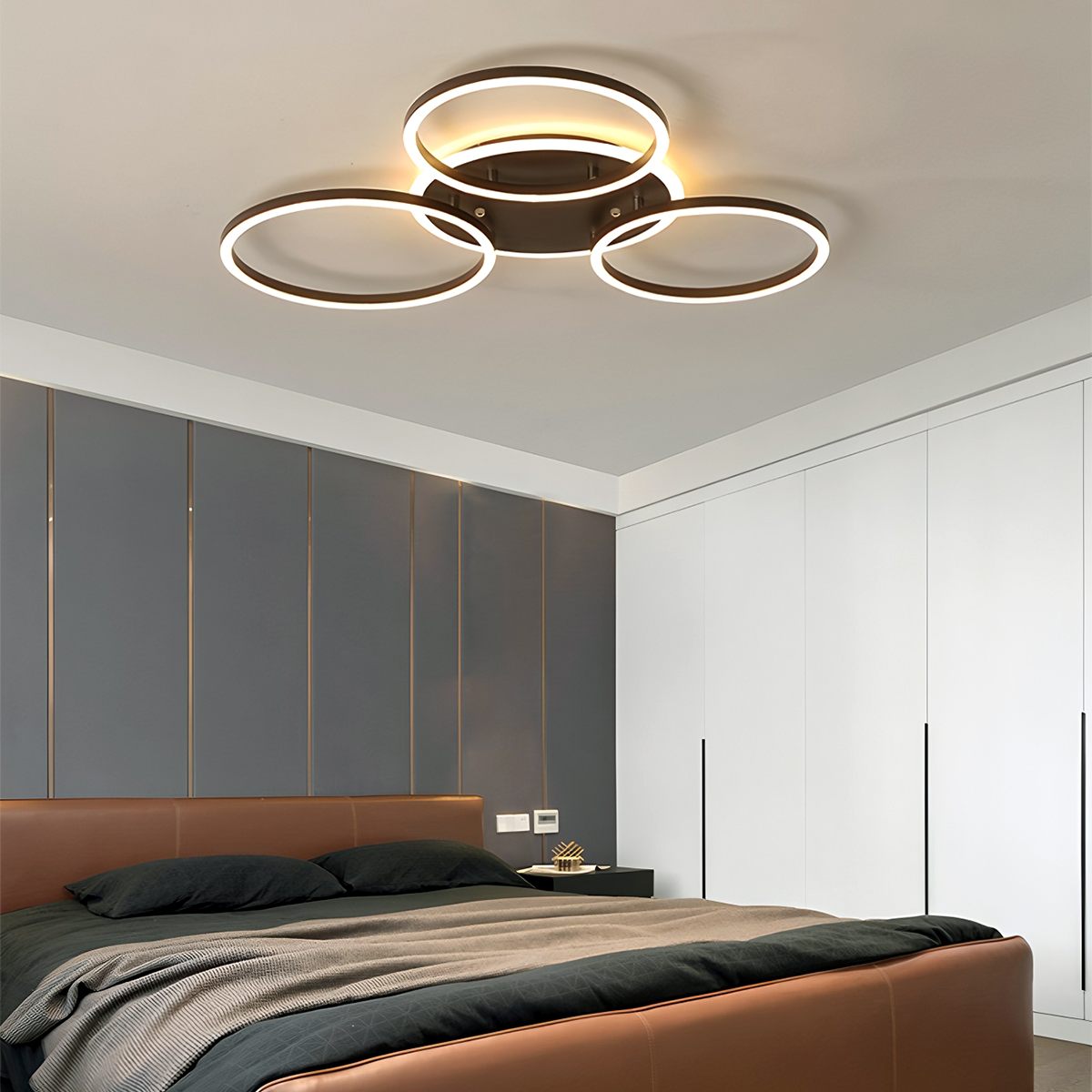 Roshan Ceiling light