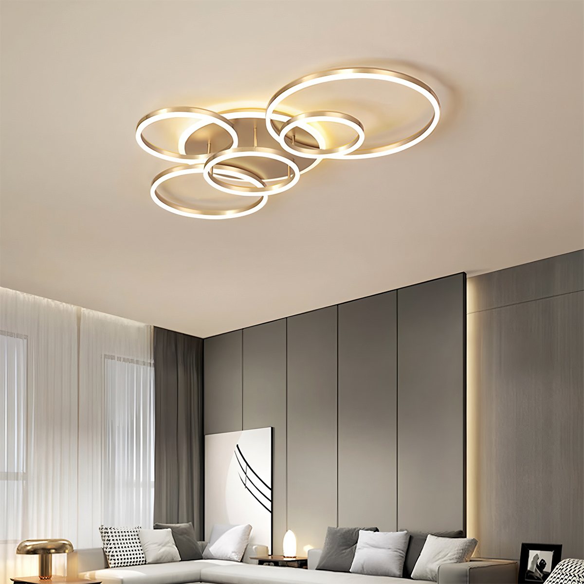 Roshan Ceiling light