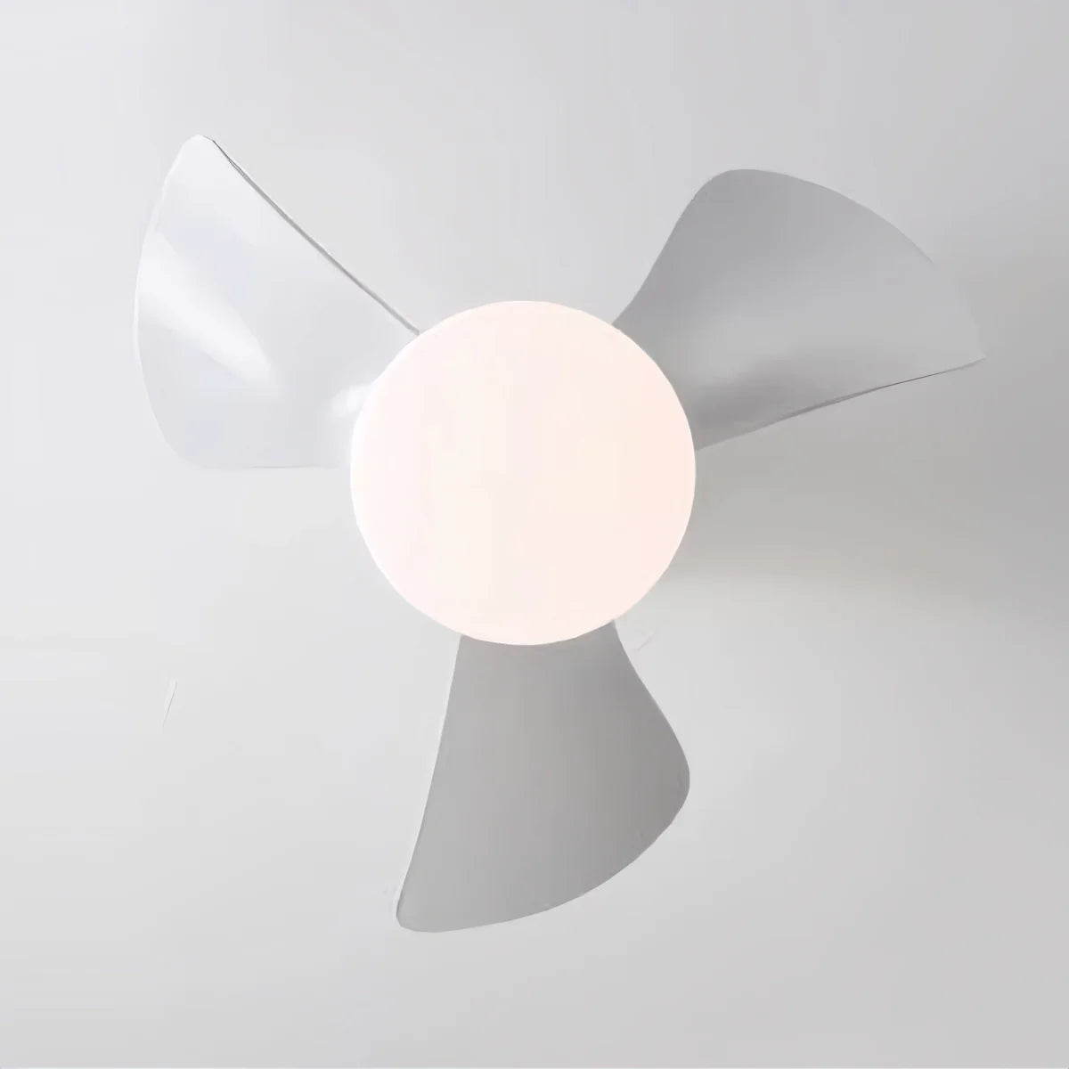 Small Propeller Ceiling Fan With Light