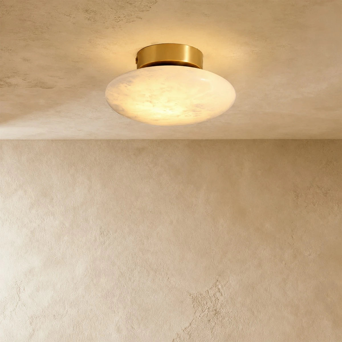 Zarion Ceiling Light