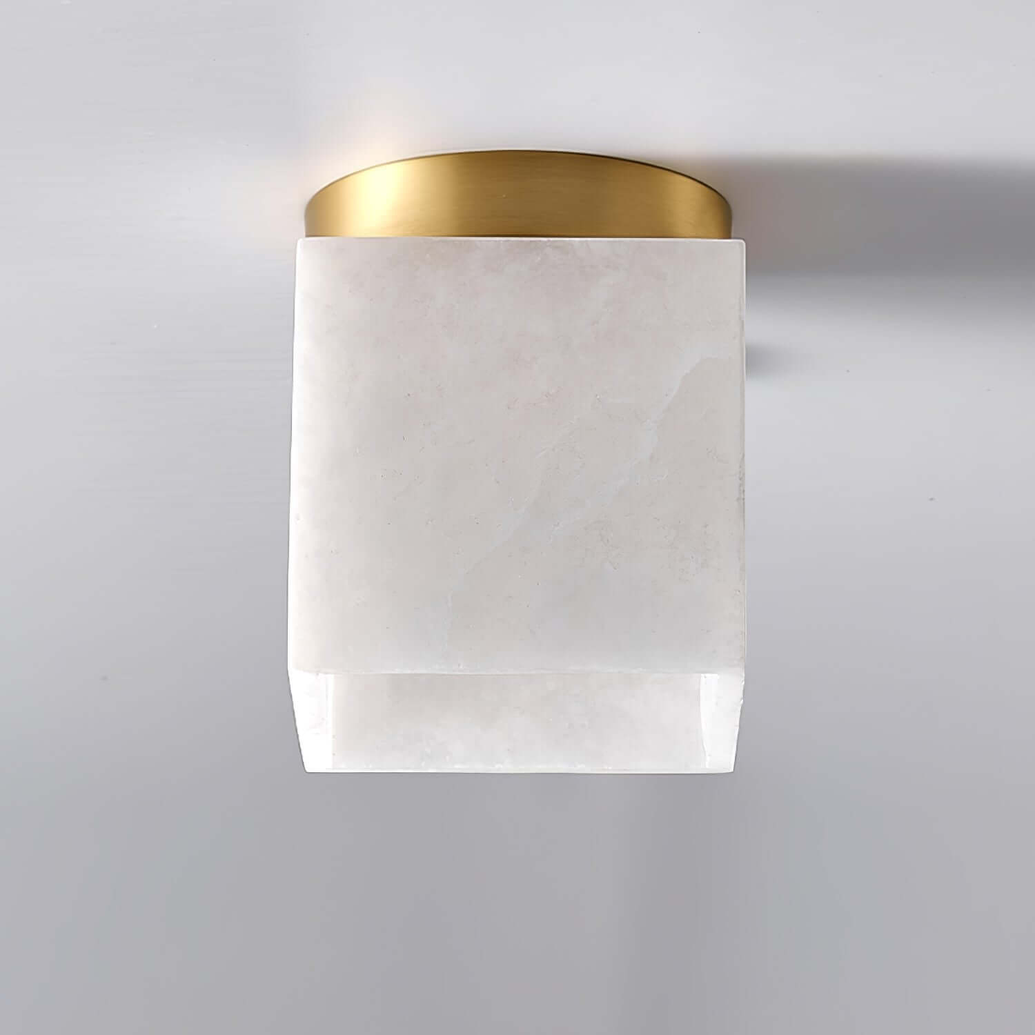Vylora Ceiling Light
