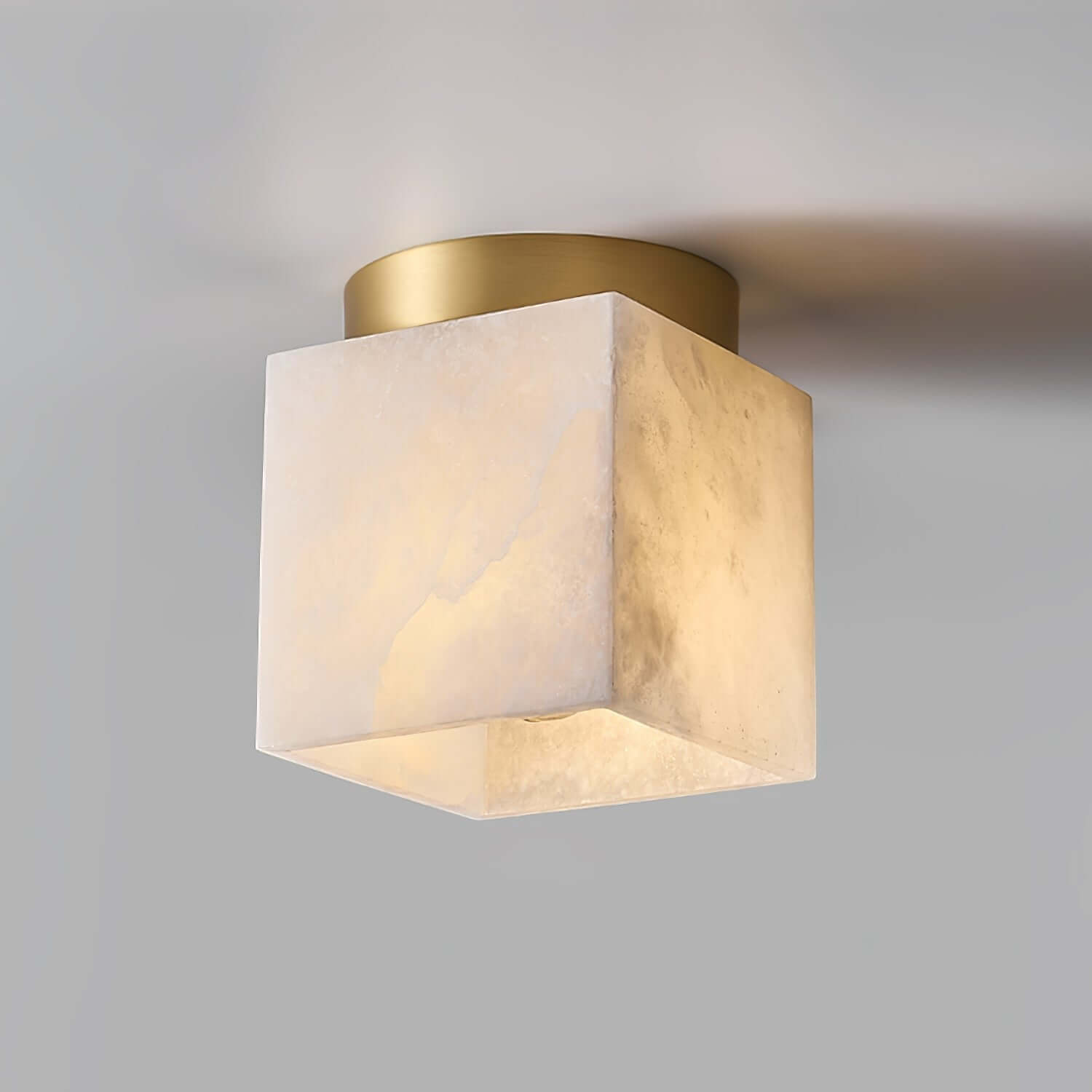 Vylora Ceiling Light
