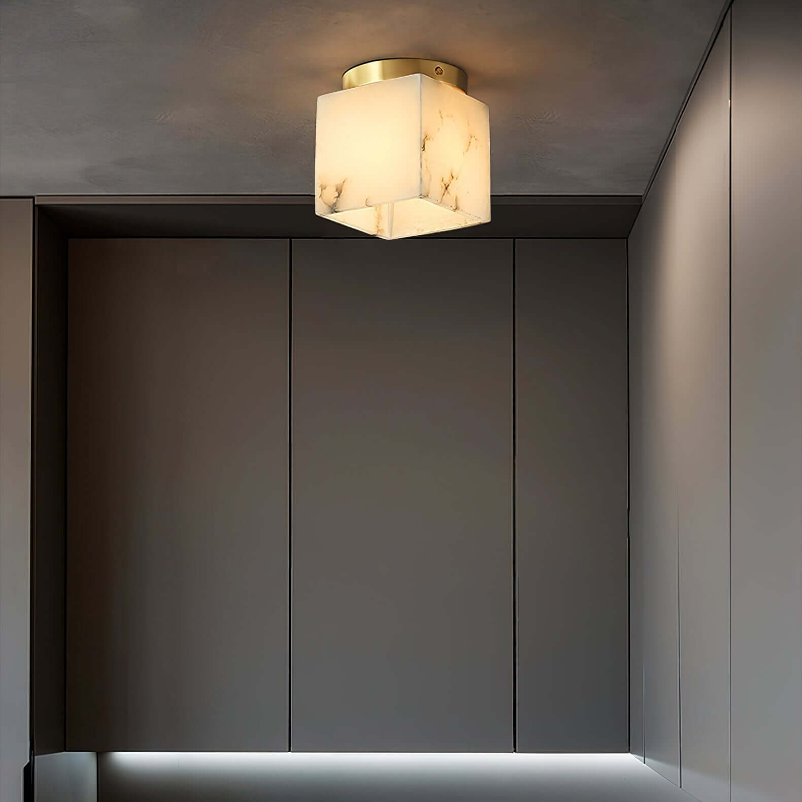 Vylora Ceiling Light
