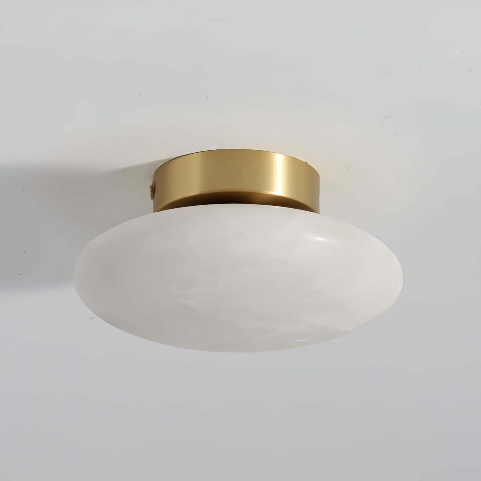 Zarion Ceiling Light